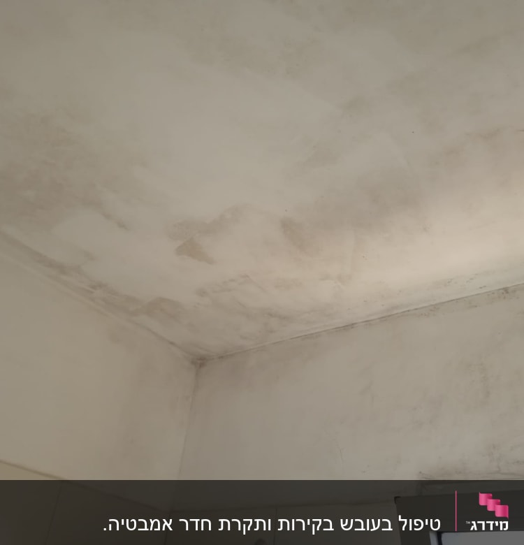 תקרה עם סימני רטיבות ועובש בפינות